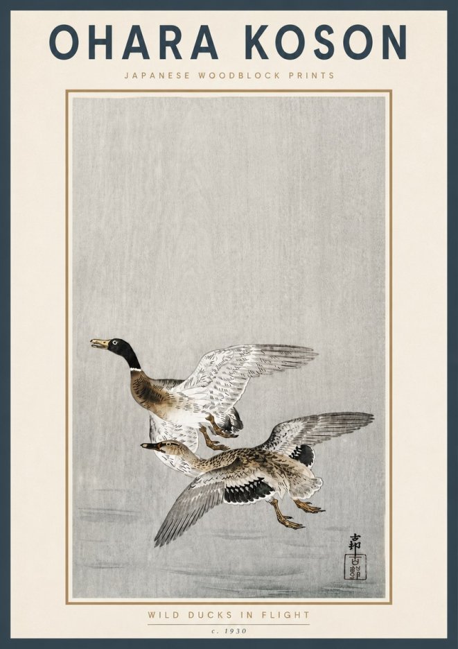 Ohara Koson Wild Ducks in Flight No4 - Plakat