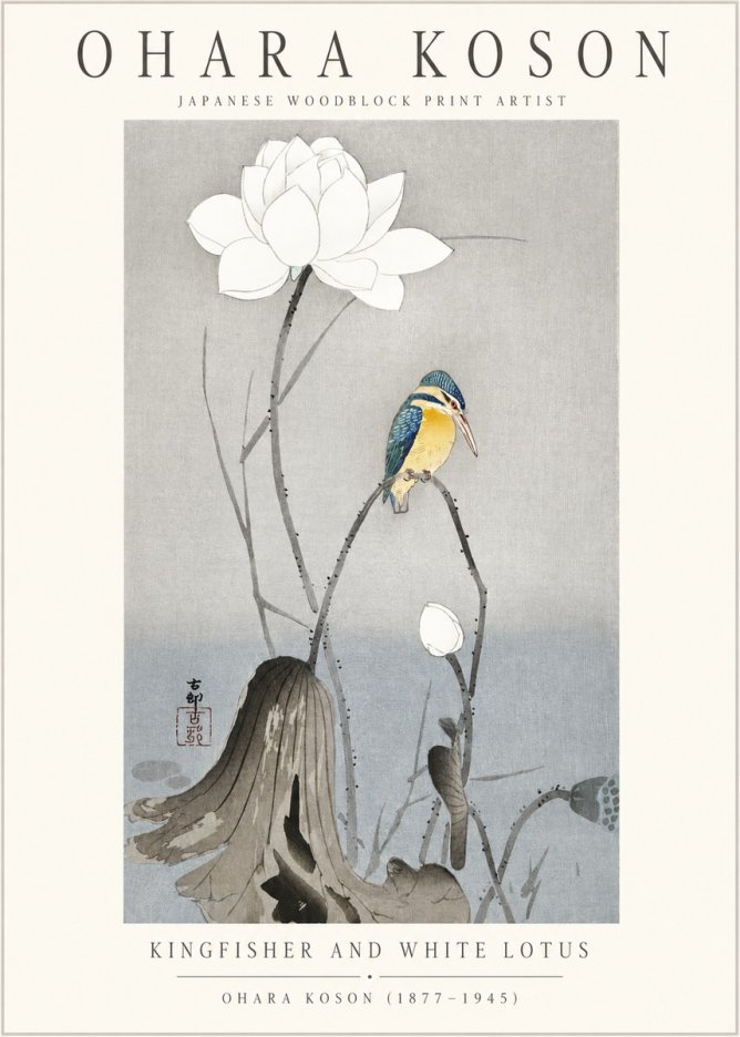 Ohara Koson Kingfisher and White Lotus No1 - Plakat