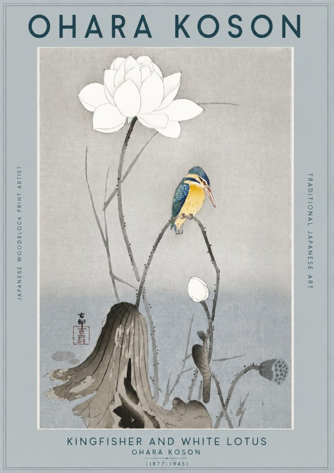 Ohara Koson Kingfisher and White Lotus No2 - Plakat