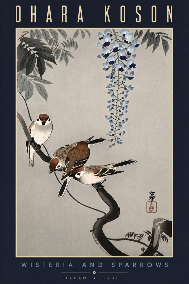Ohara Koson Wisteria and Sparrows No6 - Plakat