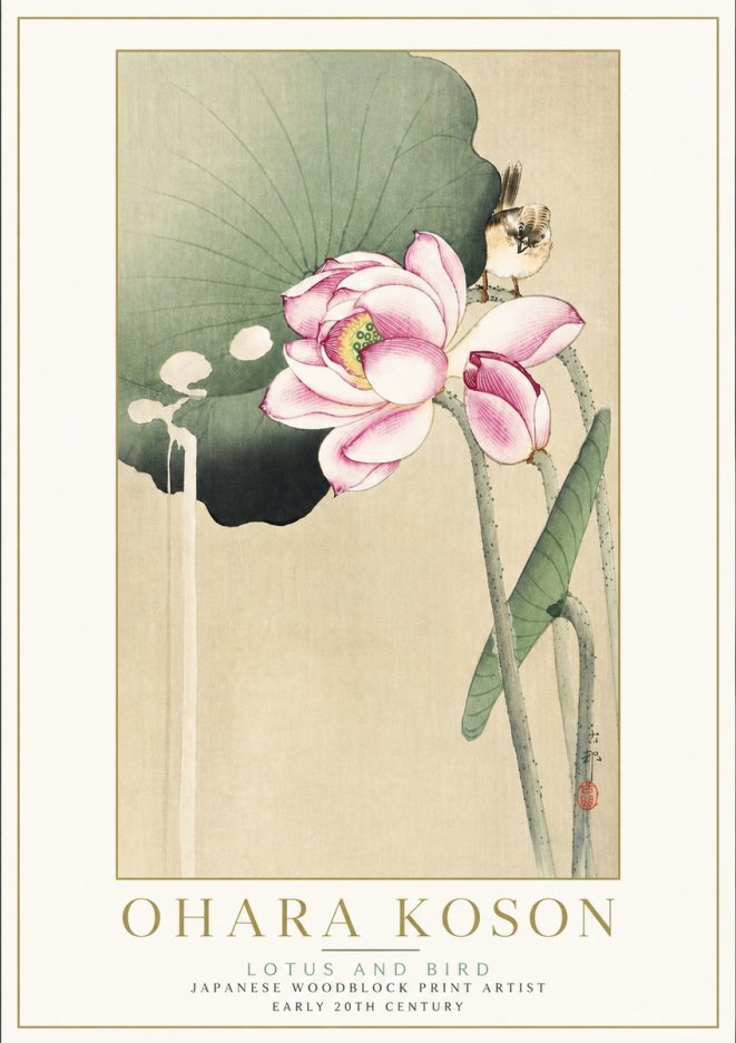 Ohara Koson Lotus and Bird No5 - Plakat