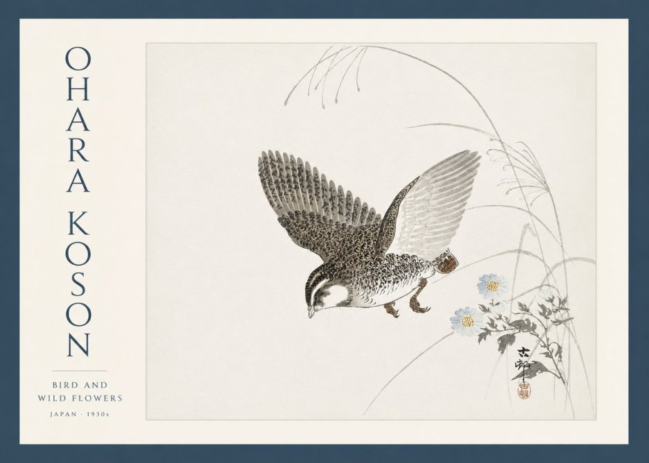 Ohara Koson Bird and Wild Flowers No3 - Plakat
