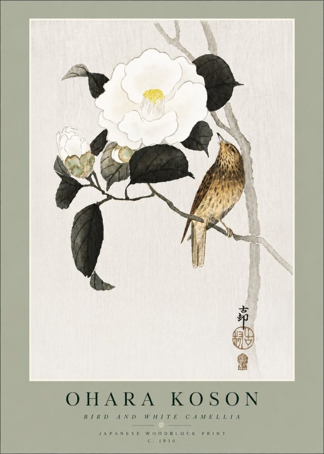 Ohara Koson Bird and White Camellia No4 - Plakat