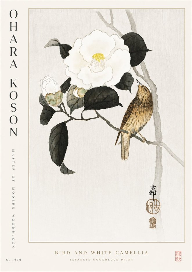 Ohara Koson Bird and White Camellia No5 - Plakat