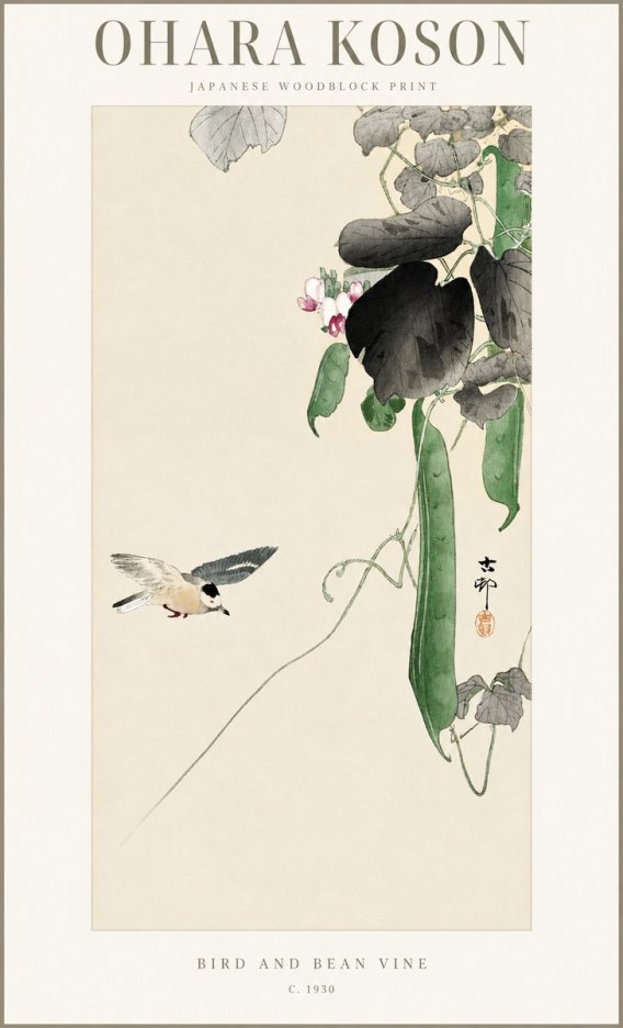 Ohara Koson Bird and Bean Vine No1 - Plakat