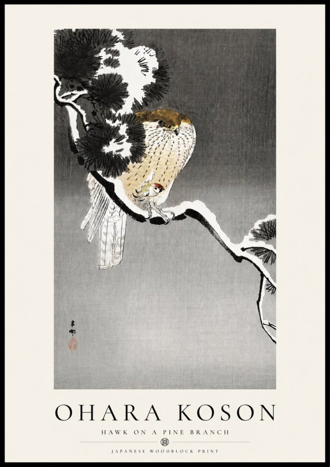 Ohara Koson Hawk on a Pine Branch No4 - Plakat