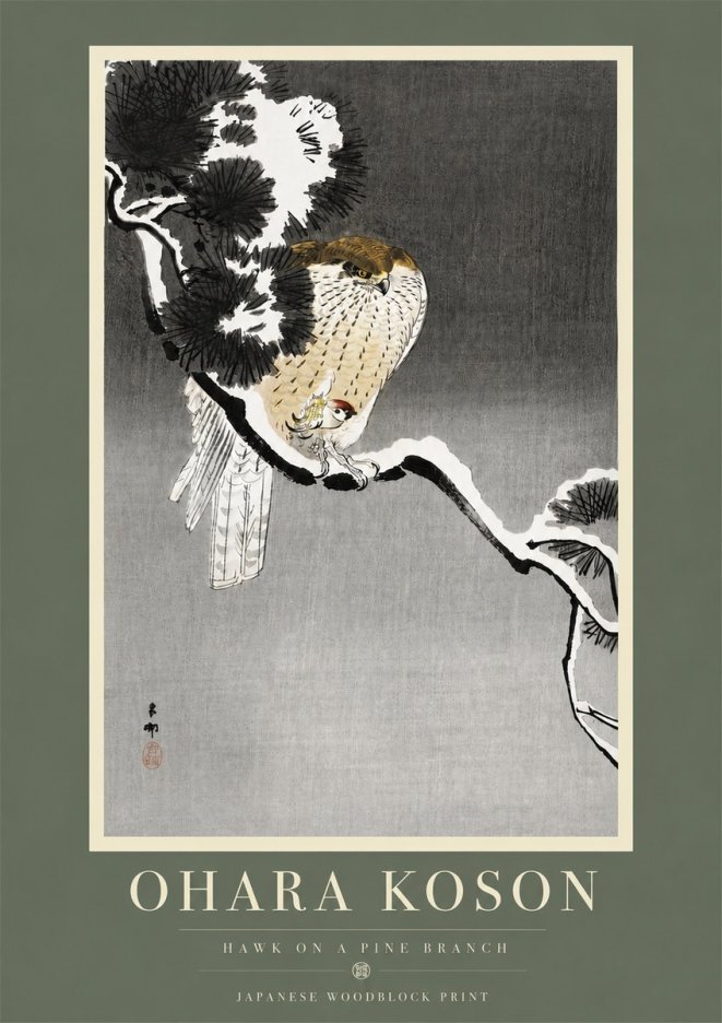 Ohara Koson Hawk on a Pine Branch No5 - Plakat