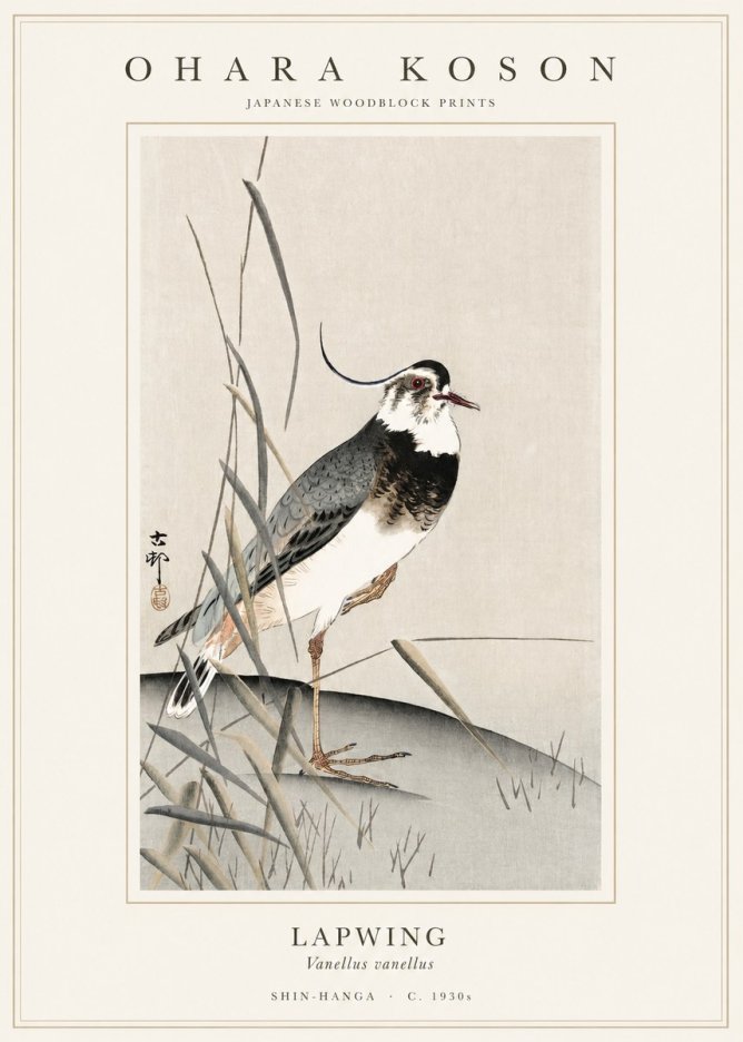 Ohara Koson Lapwing No1 - Plakat