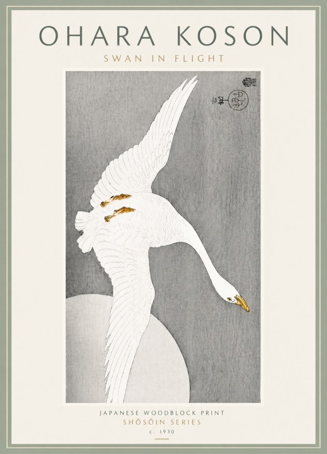 Ohara Koson Swan in Flight No6 - Plakat
