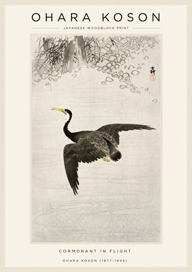 Ohara Koson Cormorant in Flight No3 - Plakat