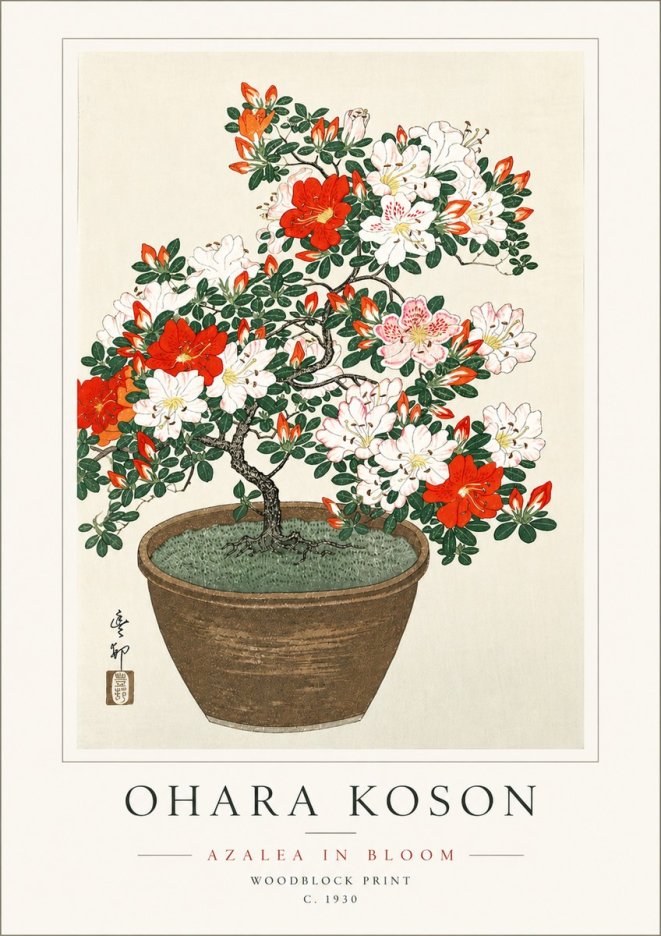 Ohara Koson Azalea in Bloom No6 - Plakat