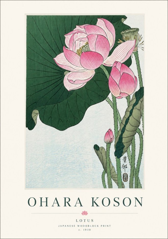 Ohara Koson Lotus II No1 - Plakat
