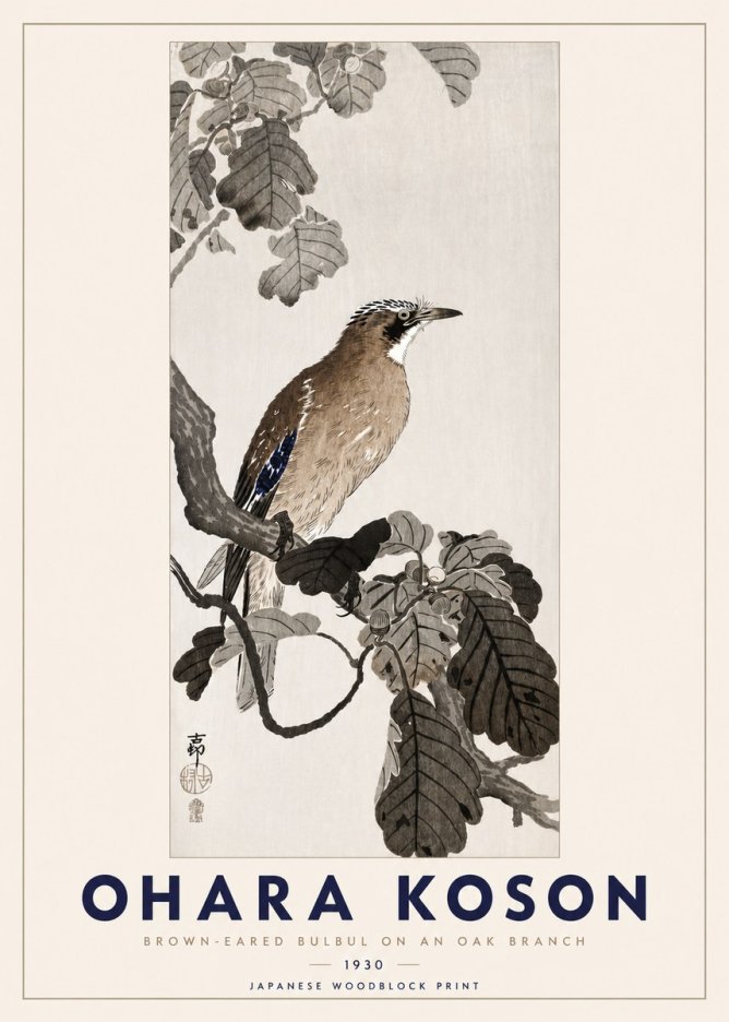 Ohara Koson Brown-eared Bulbul on an Oak Branch No3 - Plakat
