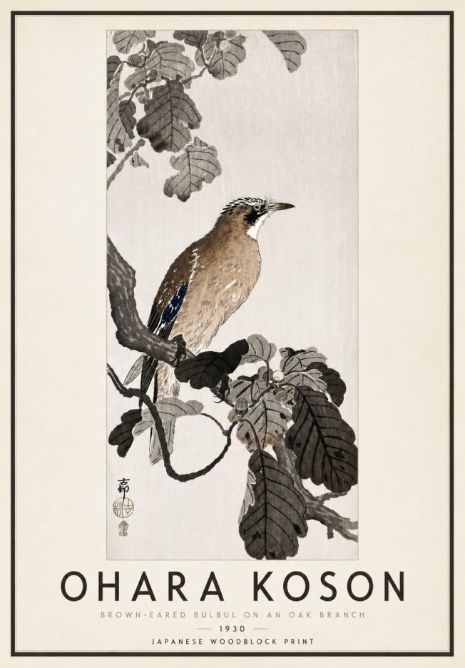 Ohara Koson Brown-eared Bulbul on an Oak Branch No4 - Plakat