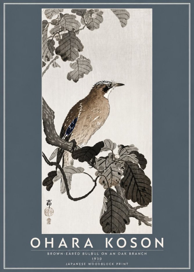 Ohara Koson Brown-eared Bulbul on an Oak Branch No5 - Plakat