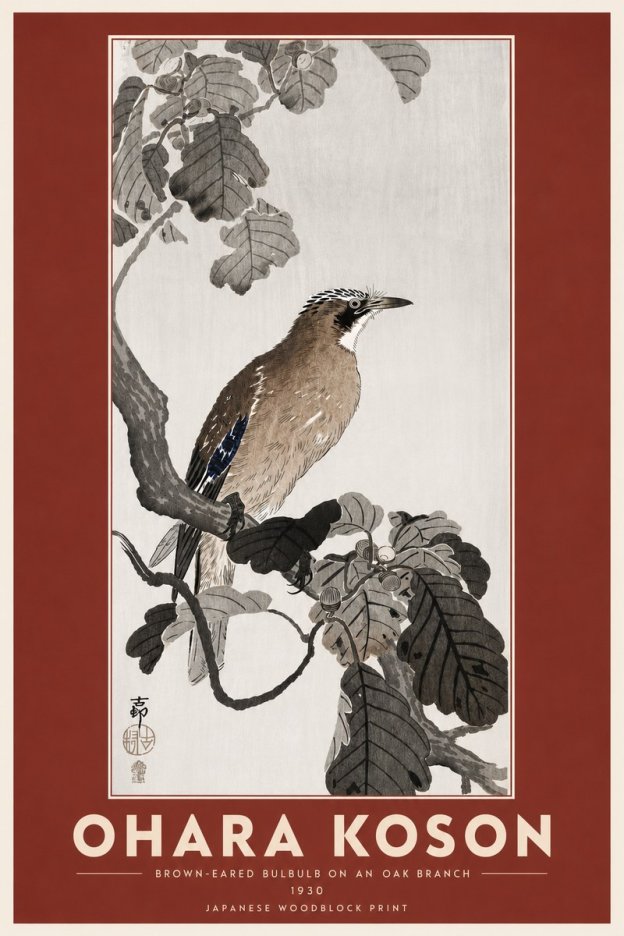 Ohara Koson Brown-eared Bulbul on an Oak Branch No6 - Plakat