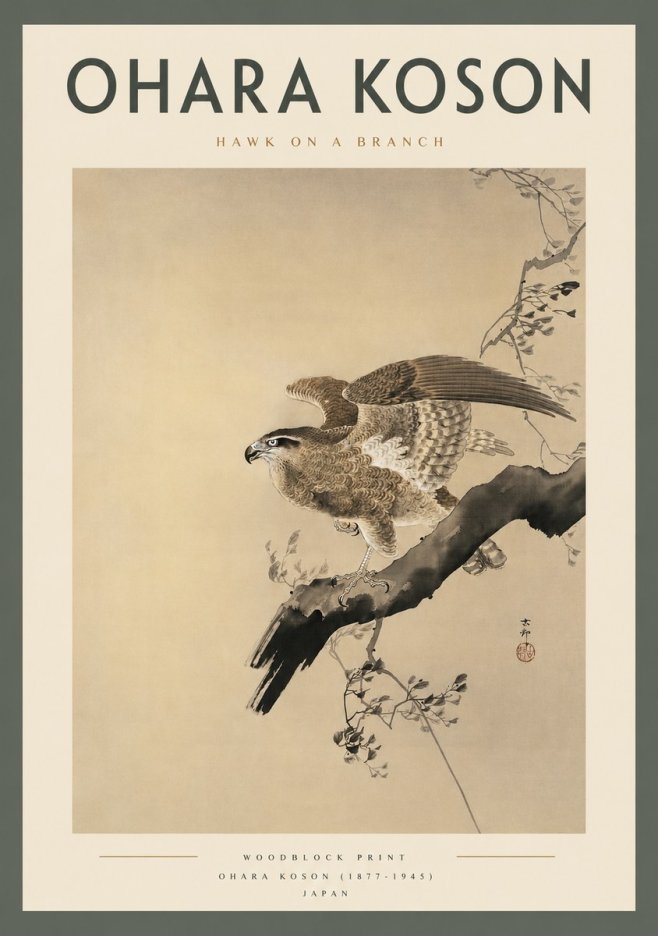 Ohara Koson Hawk on a Branch I No2 - Plakat