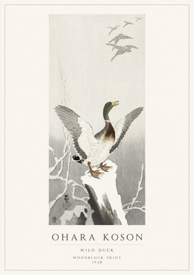 Ohara Koson Wild Duck No1 - Plakat