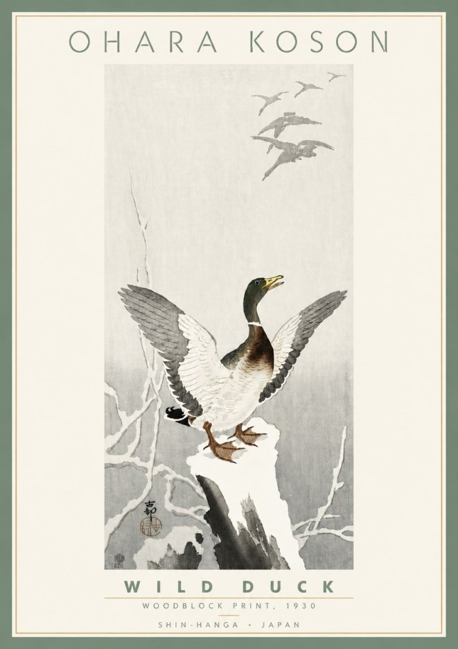 Ohara Koson Wild Duck No4 - Plakat