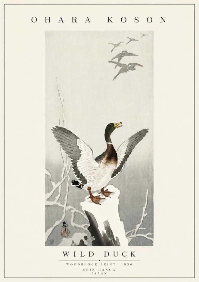 Ohara Koson Wild Duck No5 - Plakat