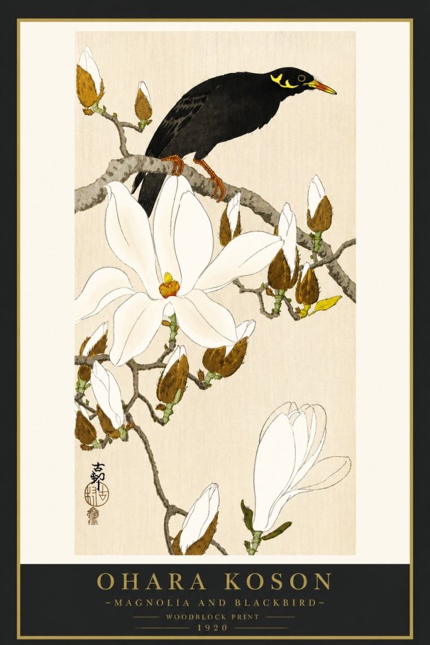Ohara Koson Magnolia and Blackbird No4 - Plakat
