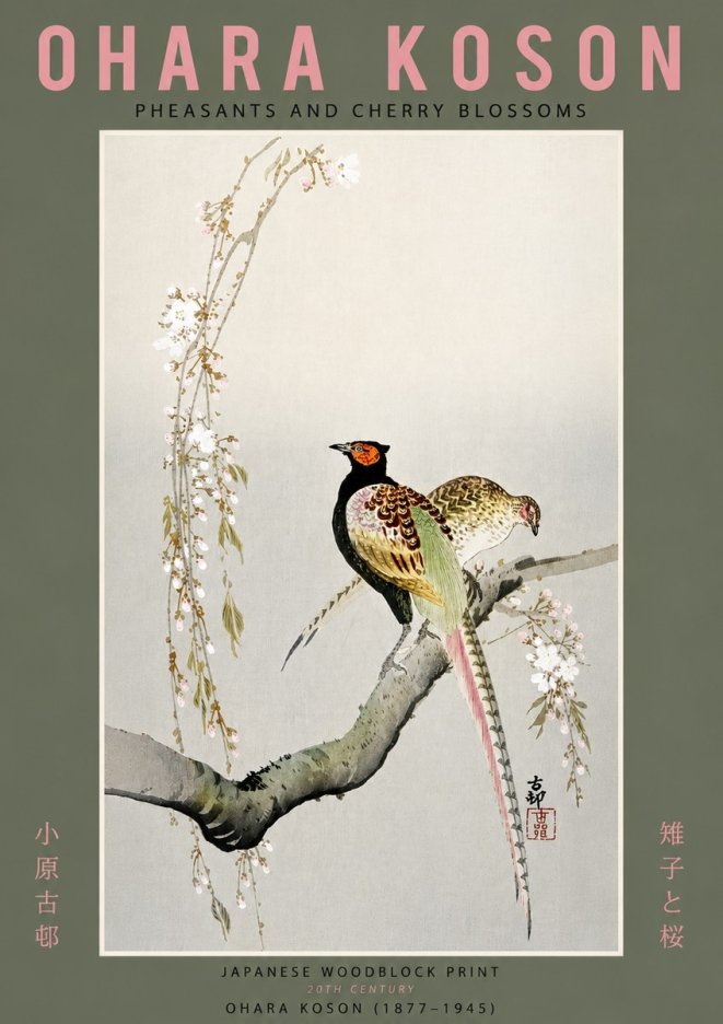 Ohara Koson Pheasants and Cherry Blossoms II No6 - Plakat