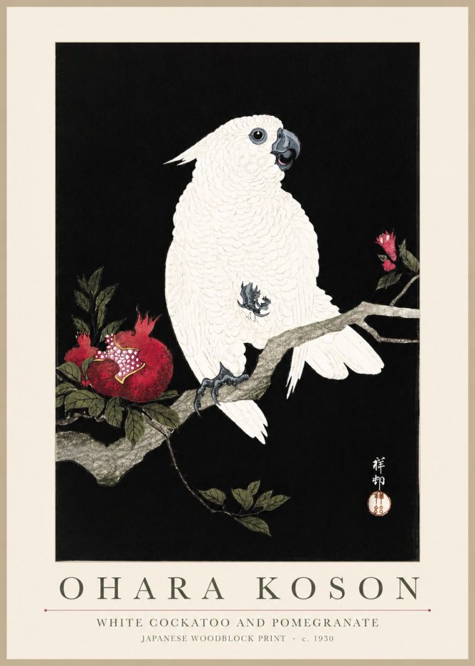Ohara Koson White Cockatoo and Pomegranate I No3 - Plakat