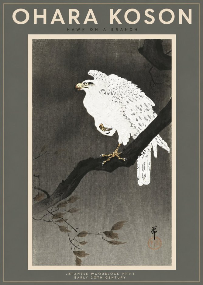 Ohara Koson Hawk on a Branch II No2 - Plakat