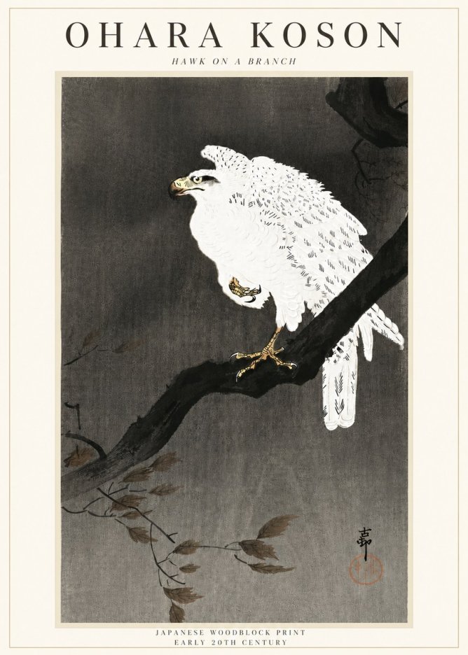Ohara Koson Hawk on a Branch II No3 - Plakat