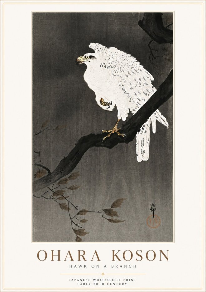 Ohara Koson Hawk on a Branch II No6 - Plakat