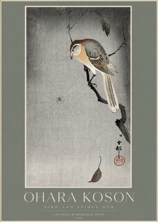 Ohara Koson Bird and Spider Web II No2 - Plakat