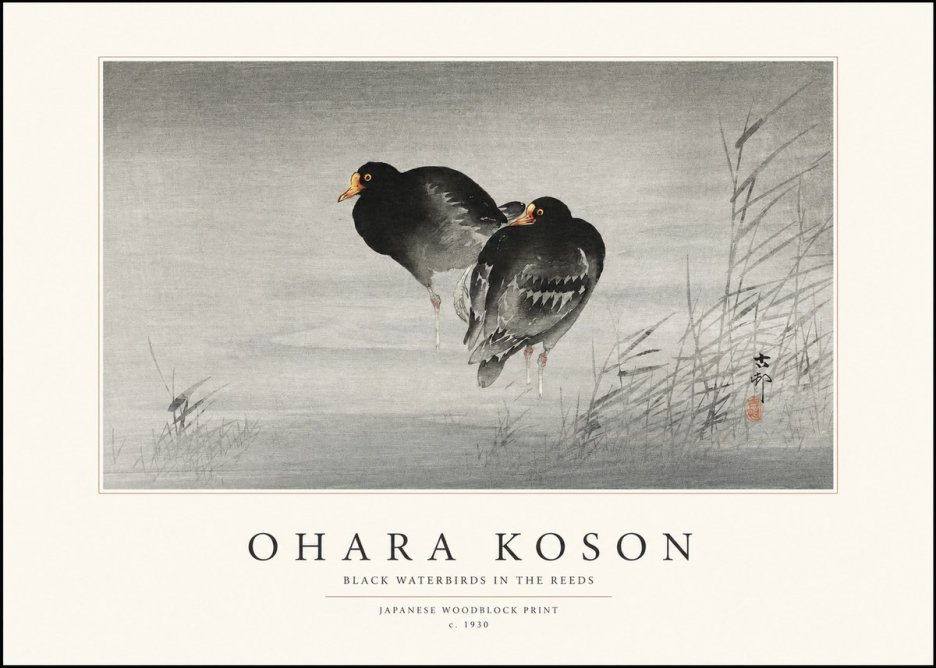 Ohara Koson Black Waterbirds in the Reeds No1 - Plakat