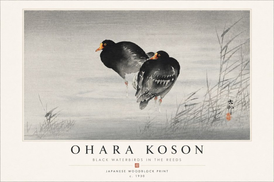 Ohara Koson Black Waterbirds in the Reeds No4 - Plakat