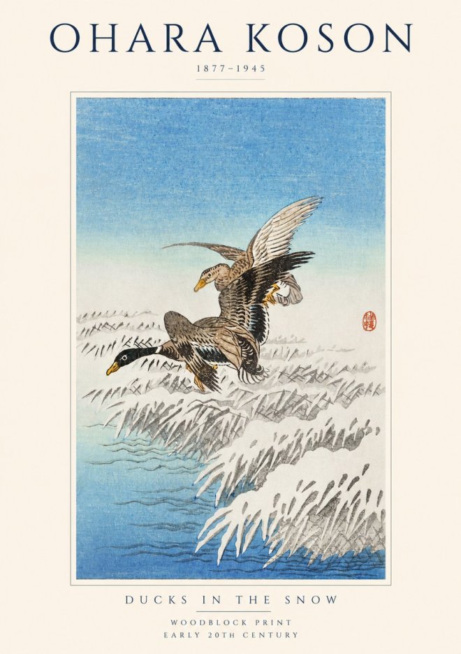 Ohara Koson Ducks in the Snow No1 - Plakat