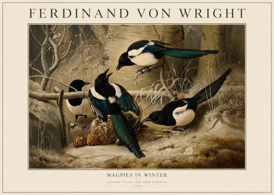 Ferdinand von Wright Magpies in Winter No1 - Plakat