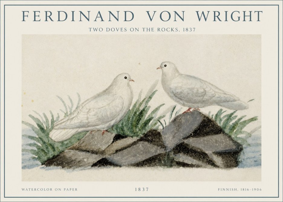 Ferdinand von Wright Two Doves on the Rocks, 1837 No1 - Plakat