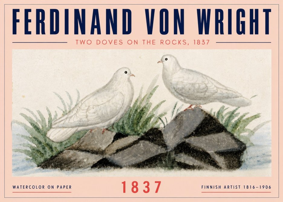 Ferdinand von Wright Two Doves on the Rocks, 1837 No4 - Plakat