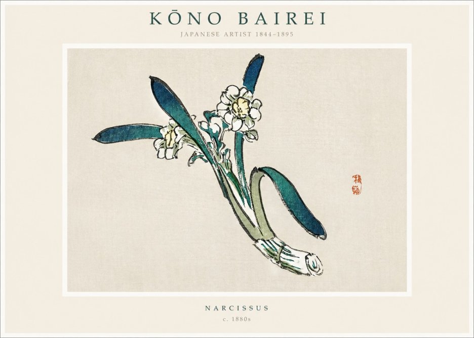 Kōno Bairei Narcissus No1 - Plakat