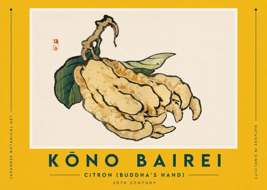Kōno Bairei Citron (Buddha's Hand) No5 - Plakat