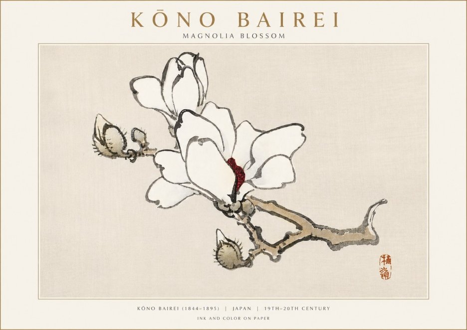 Kōno Bairei Magnolia Blossom No3 - Plakat