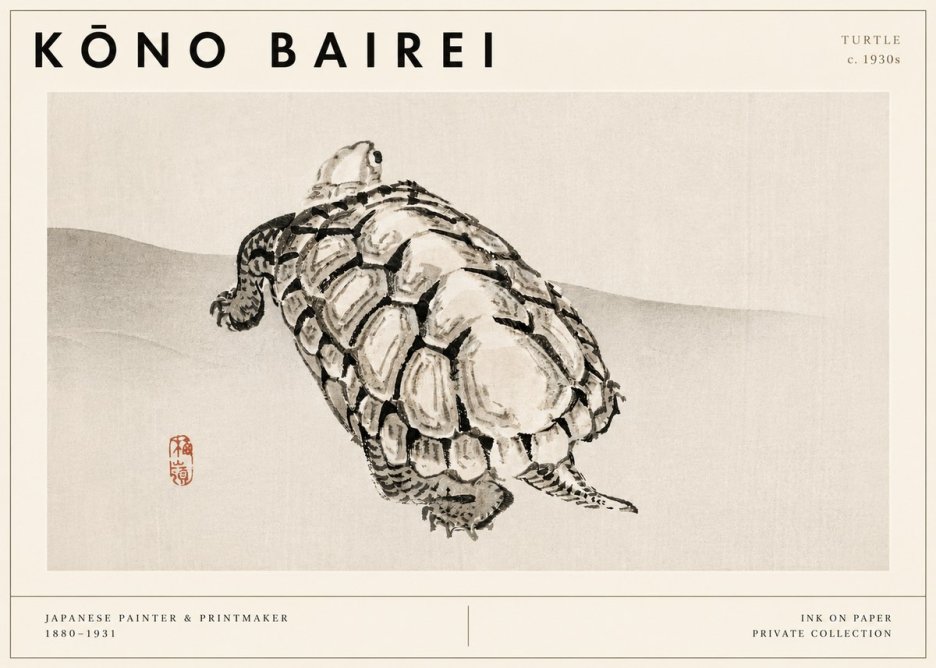 Kōno Bairei Turtle No3 - Plakat