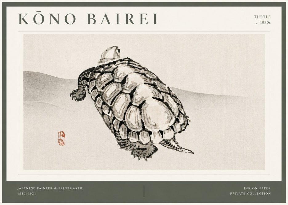 Kōno Bairei Turtle No4 - Plakat