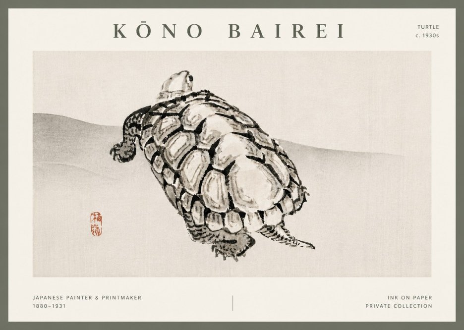 Kōno Bairei Turtle No5 - Plakat