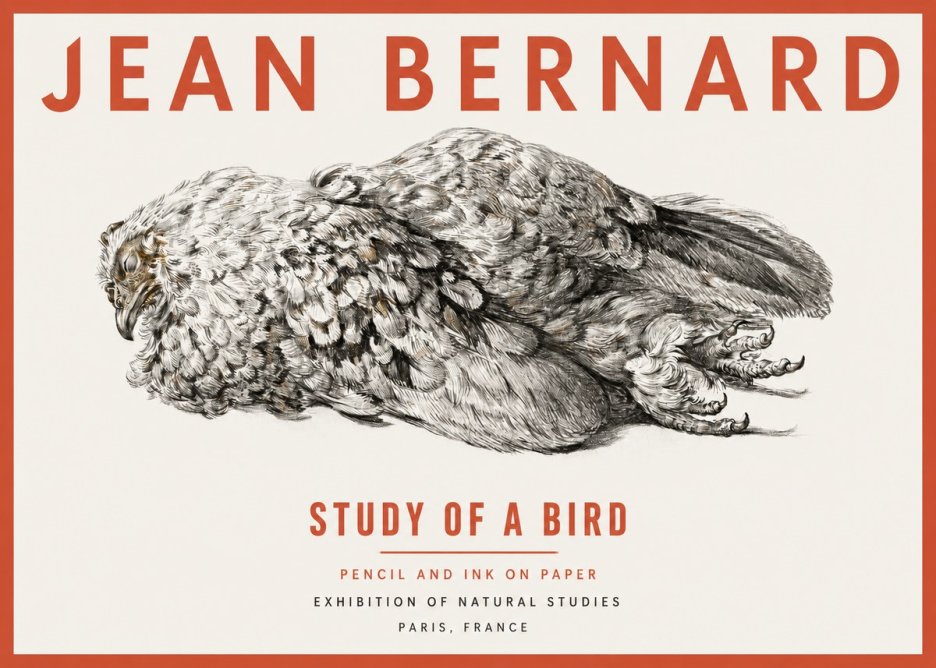Jean Bernard Study of a Bird I No2 - Plakat