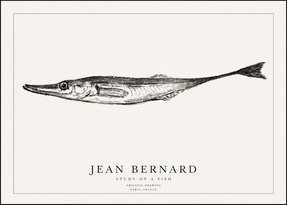 Jean Bernard Study of a Fish I No1 - Plakat