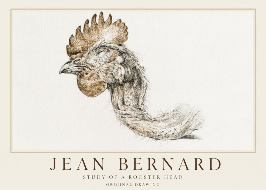 Jean Bernard Study of a Rooster Head No1 - Plakat