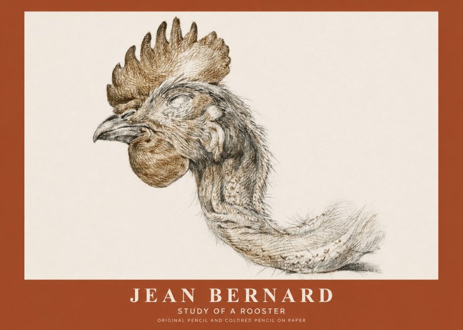 Jean Bernard Study of a Rooster Head No2 - Plakat