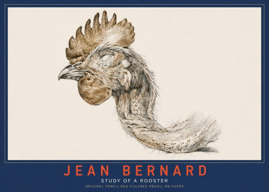 Jean Bernard Study of a Rooster Head No3 - Plakat