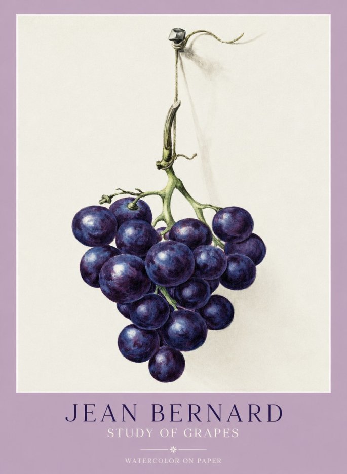 Jean Bernard Grapes No2 - Plakat