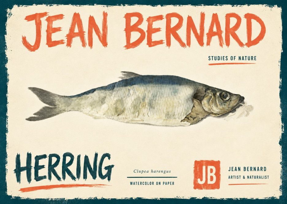 Jean Bernard Herring No6 - Plakat